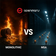 모든 계란을 한 바구니에? 데이터센터 재난과 모놀리식 구조의 위험성