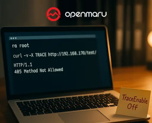 HTTP TRACE method 보안취약점 관련 실무적 대응 방법