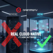 민간 클라우드 광고에 가려진 진실: 진정한 클라우드 네이티브란 무엇인가